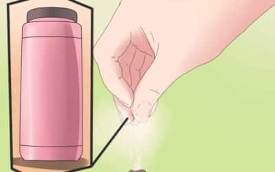 Imagen relacionada con el título: Incorporando lechuga en la dieta de las lagartijas