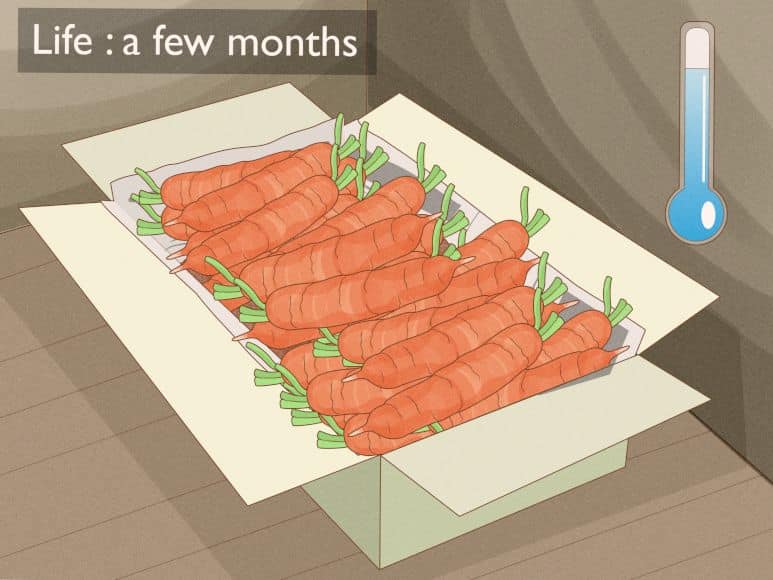 Imagen relacionada con el título: Guía de 14 pasos para cultivar zanahorias bebé con imágenes
