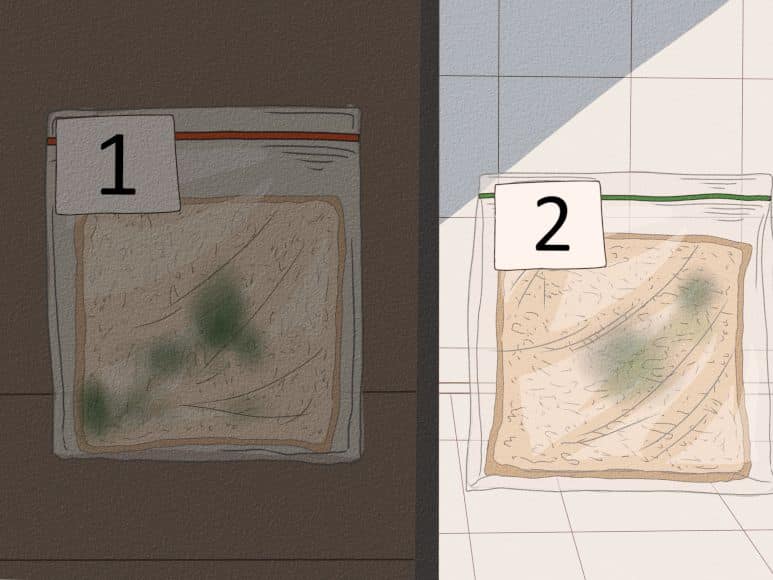 Imagen relacionada con el título: Cómo hacer que el pan se llene de moho rápidamente: 10 pasos