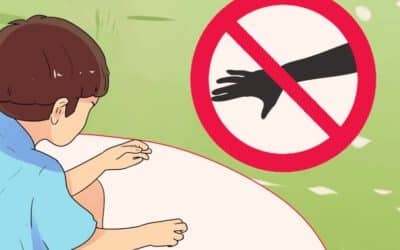 Imagen relacionada con el título: 3 formas divertidas de jugar a Captura la Bandera