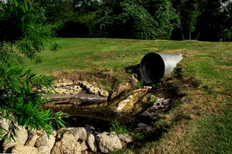Imagen relacionada con el título: El proceso de drenaje en la geología y la medicina