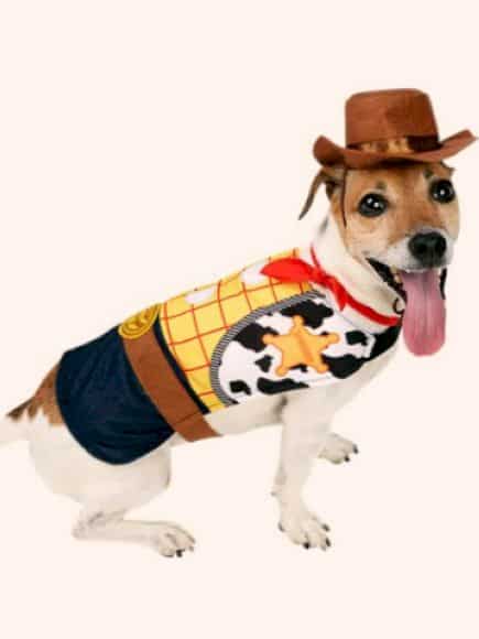 Imagen relacionada con el título: 125 Nombres de Perros Disney para tus Mascotas