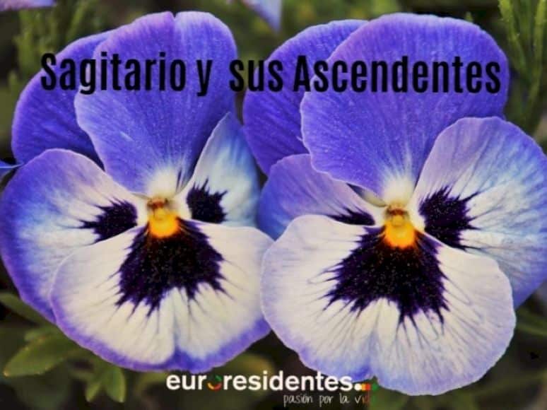 Imagen relacionada con el título: Descubre las combinaciones astrológicas de Sagitario y sus Ascendentes