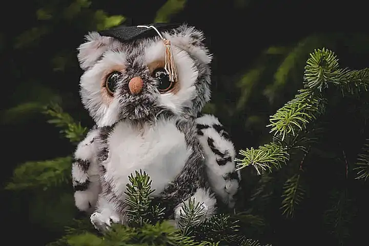 Imagen relacionada con el subtítulo h2: Conclusión